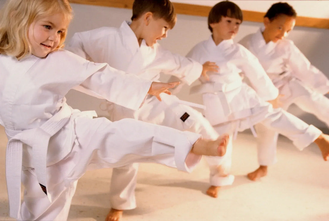 Martial arts kids karate