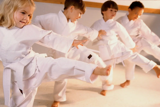 Martial arts kids karate